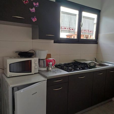 Apartments Grahovac Umag Dış mekan fotoğraf