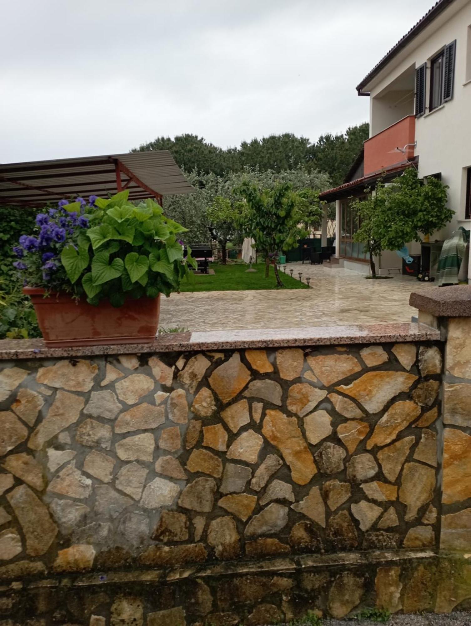 Apartments Grahovac Umag Dış mekan fotoğraf
