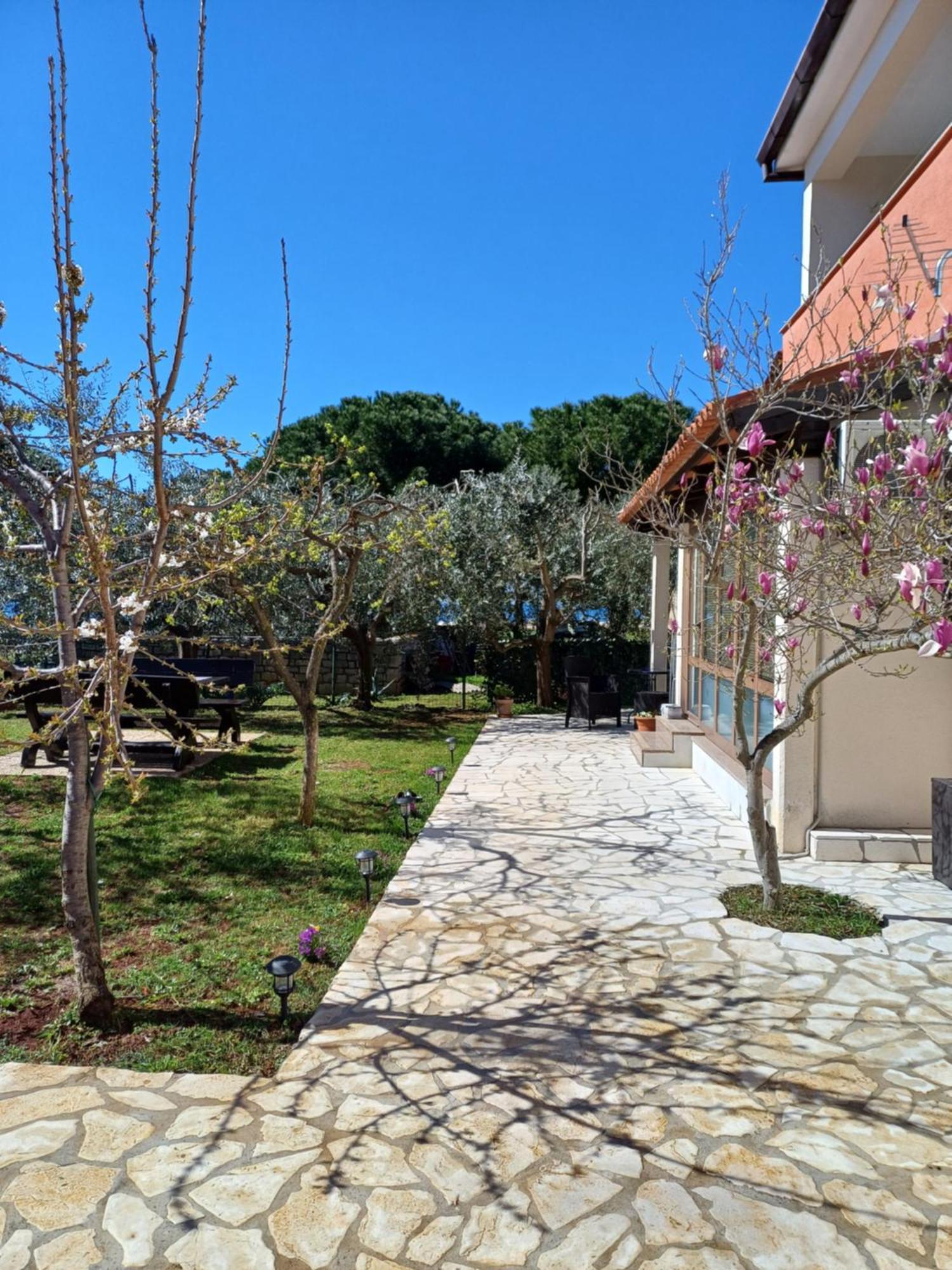 Apartments Grahovac Umag Dış mekan fotoğraf
