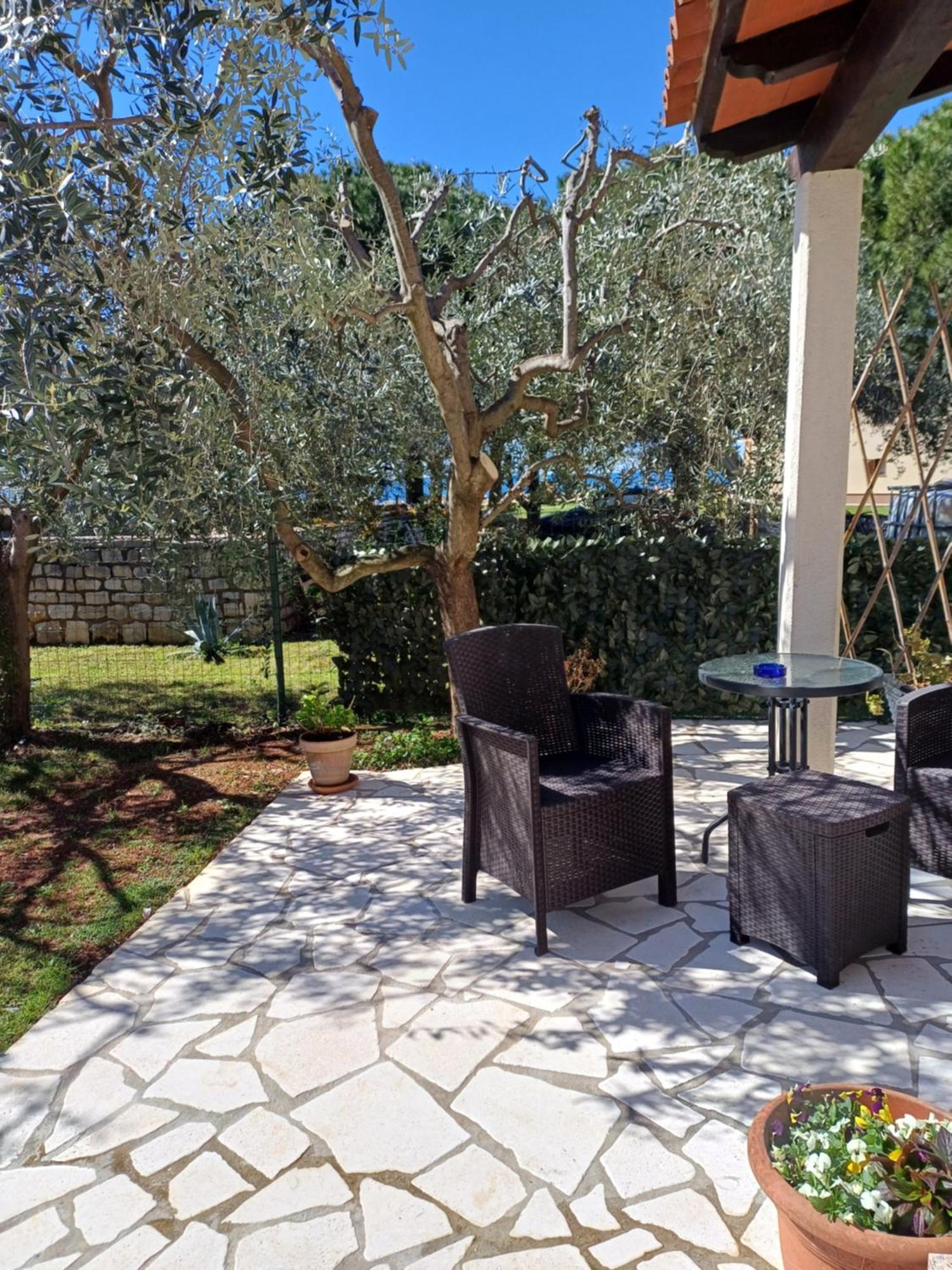 Apartments Grahovac Umag Dış mekan fotoğraf