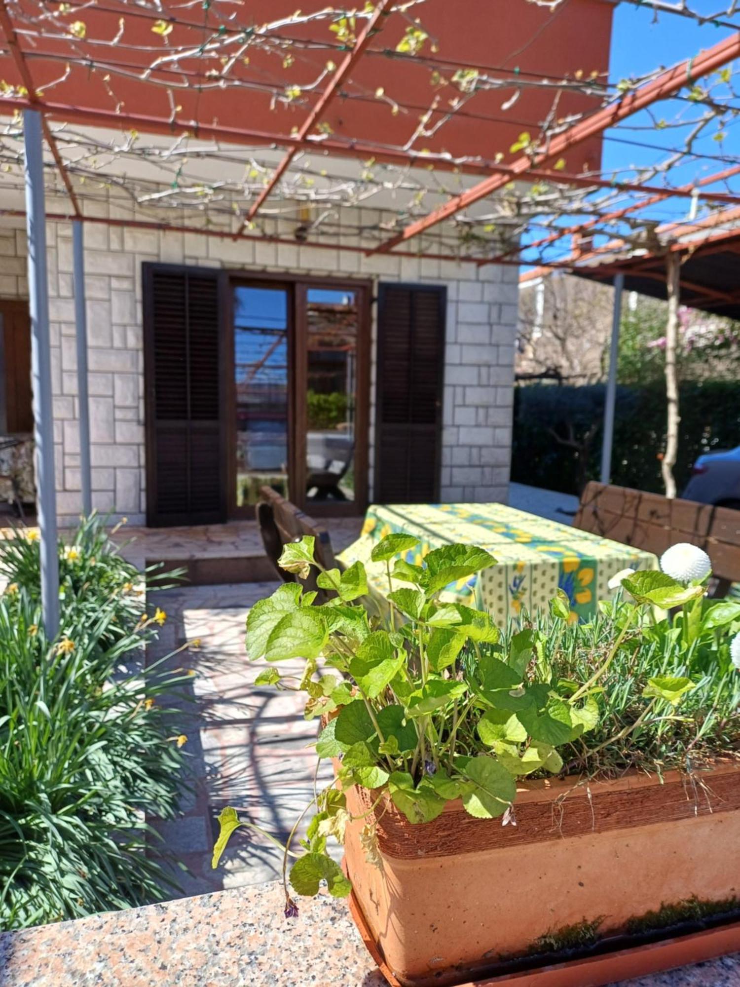 Apartments Grahovac Umag Dış mekan fotoğraf